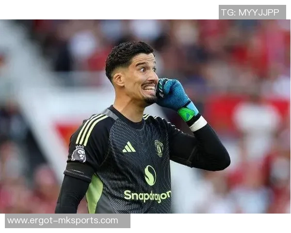 拉门斯：梦想在未来十年为曼联效能，不忧虑其他人对我的点评